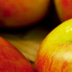 Apple Creek Dental