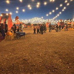 Tom's Adventures Pumpkin Patch