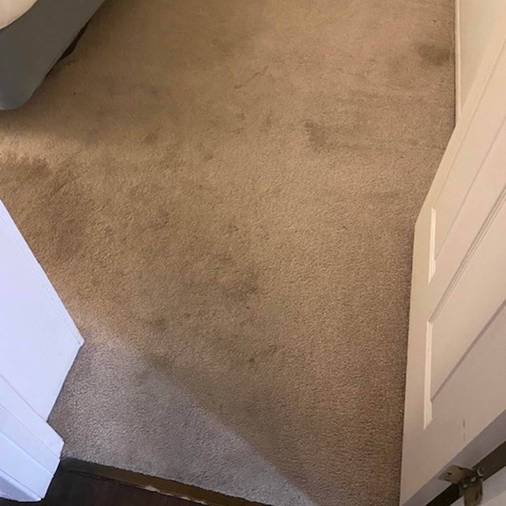 REBL Rentals - stained carpet - Vacation Rentals Near Me REBL Rentals - stained carpet - Vacation Rentals Near Me