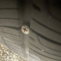 Tire Kingdom