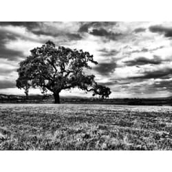 Napa Golf Course - 5.5.13 via Instagram: tlk13