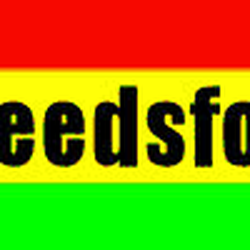 Photo of Cannabis Seeds - London, XGL, GB.