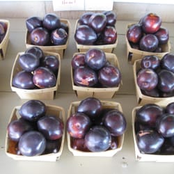 Whalley's Orchard - Plulots