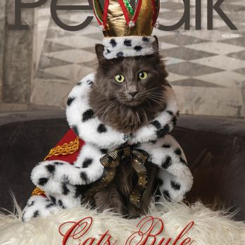 Briargrove Animal Clinic - Pyewacket, Cover Star for May Pet Talk Magazine. - Veterinarians Near Me - Houston, Texas Briargrove Animal Clinic - Pyewacket, Cover Star for May Pet Talk Magazine. - Veterinarians Near Me - Houston, Texas