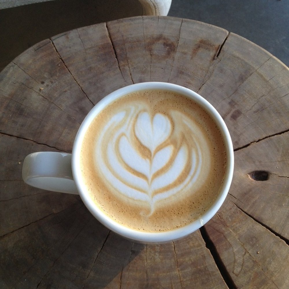 Giant Coffee - Honey Vanilla Latte - Coffee & Tea Near Me - Phoenix, Arizona Giant Coffee - Honey Vanilla Latte - Coffee & Tea Near Me - Phoenix, Arizona