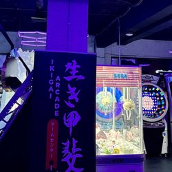 Ikigai Arcade