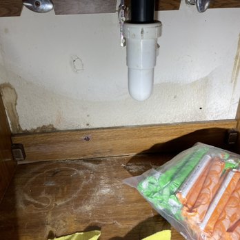 Chicago Mold Service - Mold under sink. Caused by old leak that was fixed, but the mold problem had persisted - Damage Restoration Near Me - Chicago, Illinois