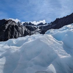 Franz Josef Glacier Guides