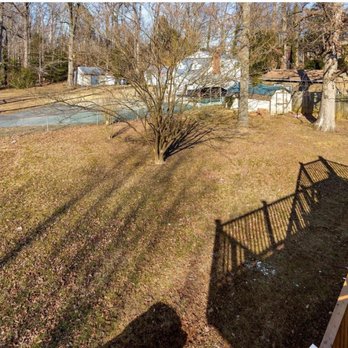 All Times Removal - Old shed - Tree Services Near Me All Times Removal - Old shed - Tree Services Near Me