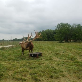 Quiet Harmony Ranch - Patriot - Tours Near Me - New Paris, Ohio