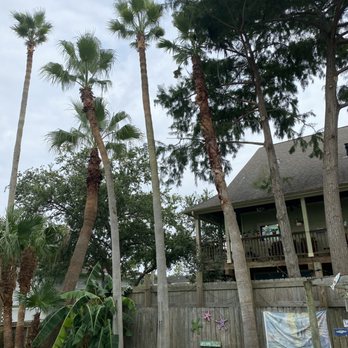 Precise Tree Care & Removal - Tree Services Near Me Precise Tree Care & Removal - Tree Services Near Me