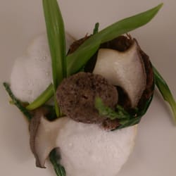 De Oude Melkhandel