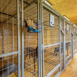 bed and biscuit lakeway