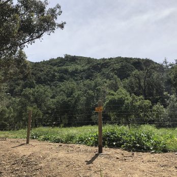 Black Star Canyon Trail - Hiking Near Me - Orange, California