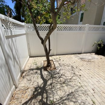 Rosas Landscaping Company - Tree removed. - Landscaping Near Me - Dana Point, California Rosas Landscaping Company - Tree removed. - Landscaping Near Me - Dana Point, California