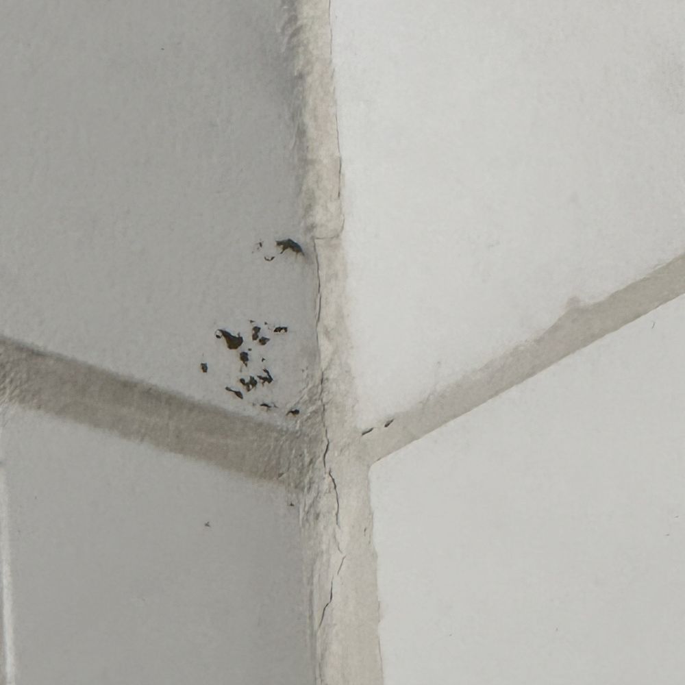 The Millwood - Black mold - Hotels Near Me - Millbrae, California The Millwood - Black mold - Hotels Near Me - Millbrae, California