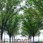 Photo of City Of Yorktown