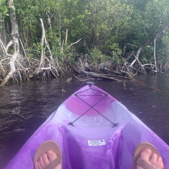 Flamingo Adventures - Crocodile from the kayak - Boating Near Me - Homestead, Florida Flamingo Adventures - Crocodile from the kayak - Boating Near Me - Homestead, Florida