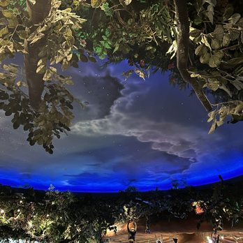 Rainforest Cafe - Sky - American Near Me - Gurnee, Illinois Rainforest Cafe - Sky - American Near Me - Gurnee, Illinois
