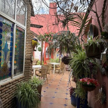 All Limon - Gardens - Moroccan Near Me - Torrealquería, Massachusetts