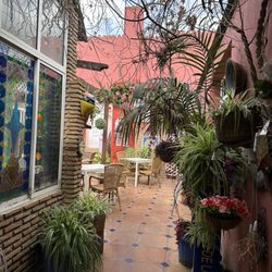 All Limon - Gardens