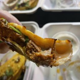 Birria tacos Birria tacos