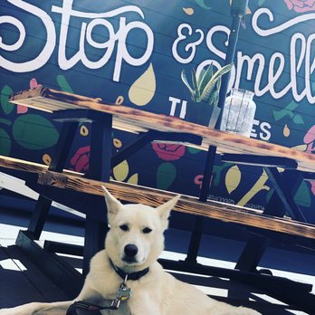 Grapes & Hops - Pet friendly! - Breweries Near Me - Kankakee, Illinois