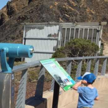 Devil's Slide Coastal Trail - "Hello, dad! Where ARE you?! I'm already up here! Hurry up, daddy, I need quarters for the scope!"   09.20.15 - Hiking Near Me - Pacifica, California