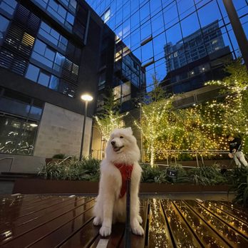 Avery 450 - cozy winter lighting - Apartments Near Me - San Francisco, California Avery 450 - cozy winter lighting - Apartments Near Me - San Francisco, California