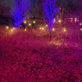 Harry Potter - A Forbidden Forest Experience - Amusement Parks Near Me - Little Elm, Texas