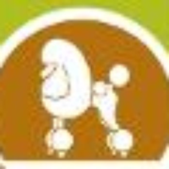 Oasis Pet Spa - Pet Groomers Near Me - Seattle, Washington Oasis Pet Spa - Pet Groomers Near Me - Seattle, Washington