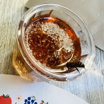 Paula's Pancake House - My little wasp friend - Breakfast & Brunch Near Me - Solvang, California