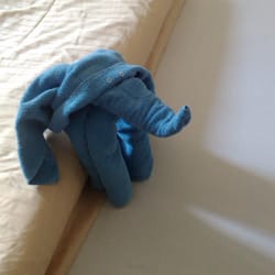 Wenn die Schwester der Besitzerin Sara im Haus ist kann es auch euch passieren so nach dem Skifahren begrüßt zu werden ;)