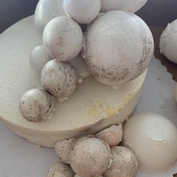 Muddy looking liquid droplets coming off the cake.