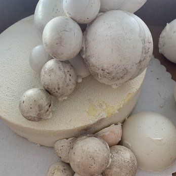 Easy Bakery SF - Muddy looking liquid droplets coming off the cake. - Desserts Near Me