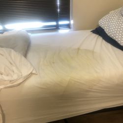 Mosaic Gardens Memory Care at Scottsdale - His urine soaked bed, and you can tell by the amount of it that he had been sitting in that for quite a while.