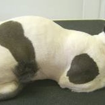 Pet Universe - Pet Services Near Me - Ilford, XGL Pet Universe - Pet Services Near Me - Ilford, XGL