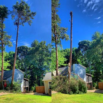 3-G Trees - Tree Services Near Me - Lawrenceville, Georgia