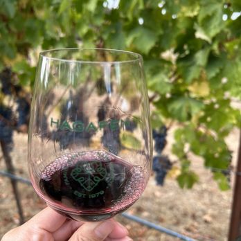 Hagafen Cellars - Enjoying a glass next to the actual grapes - Wineries Near Me - Napa, California Hagafen Cellars - Enjoying a glass next to the actual grapes - Wineries Near Me - Napa, California