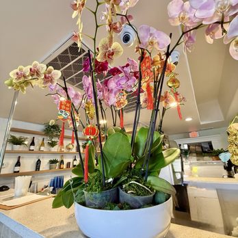 Quan Nem Ninh Hoa - Vietnamese Near Me - Sacramento, California Quan Nem Ninh Hoa - Vietnamese Near Me - Sacramento, California