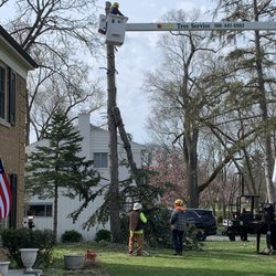A & B Landscaping & Tree Service - removal of 40 foot tree in a tight space
