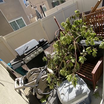 Dr Junk Removal Services - Before - Junk Removal & Hauling Near Me