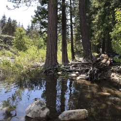 Indian Springs Campground - Creek next to Camp Ground