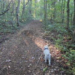 Van Buren State Park