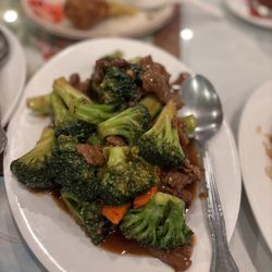 Golden Bowl Chinese Restaurant - Beef broccoli