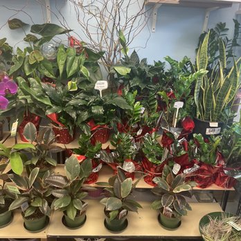 Flower Expressions Florist - Florists Near Me - Vancouver, British Columbia Flower Expressions Florist - Florists Near Me - Vancouver, British Columbia