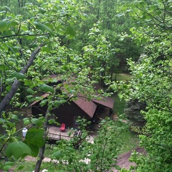Complete Tree Service - Tree Services Near Me
