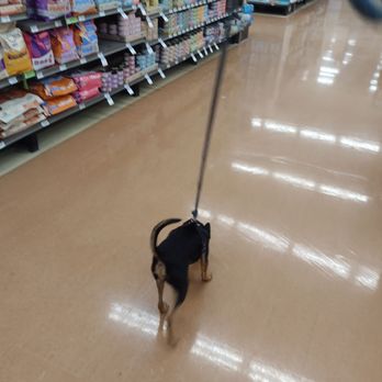 Petco - Pet Stores Near Me - Honolulu, Hawaii