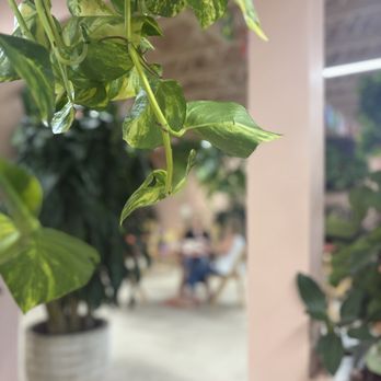 Selva Coffee House - Coffee & Tea Near Me - Del Mar, California