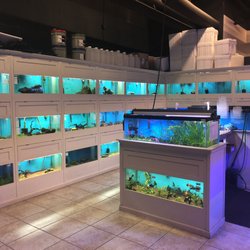 Rift 2 Reef Aquatics - Freshwater wall.